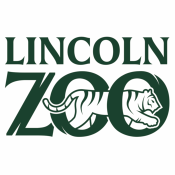 Lincoln Zoo.png Thumbnail